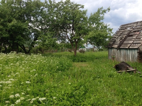 Участок 8 соток д. Васютино. Горьковское ш. 55 от мкада., 450000 руб.