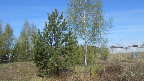 Продаётся земельный участок в Московской области, 900000 руб.