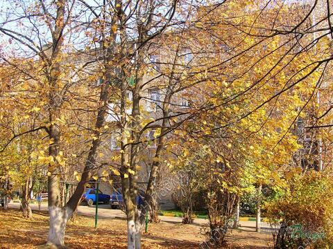Московская область, Рузский городской округ, рабочий поселок Тучково, . Московская область, Рузский городской округ, рабочий поселок Тучково, .
