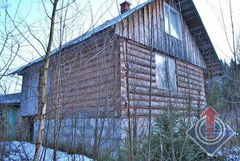 Дача в СНТ Зеленый Клин у д. Клово, д. Мачихино Дача в СНТ Зеленый Клин у д. Клово, д. Мачихино