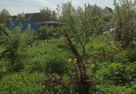 Продается земельный участок в п.Софрино Продается земельный участок в п.Софрино