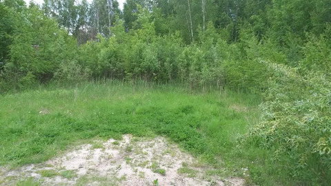 Дачный участок рядом с озером дер. Васютино Дачный участок рядом с озером дер. Васютино