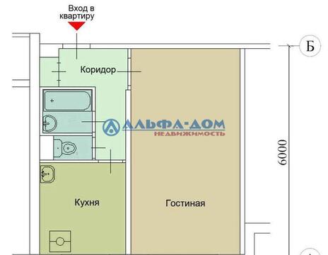 Москва, 1-но комнатная квартира, Щёлковское шоссе д.91, 5900000 руб.