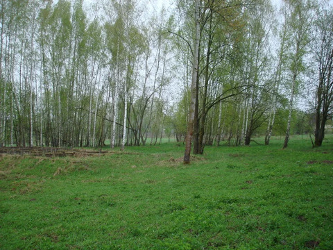 Земельный участок в деревне, 1800000 руб.