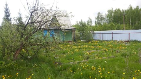 Садовый участок с домом в Дубне СНТ "Чайка", 400000 руб.