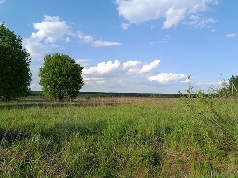 Участок в деревне Станинская, 1100000 руб.