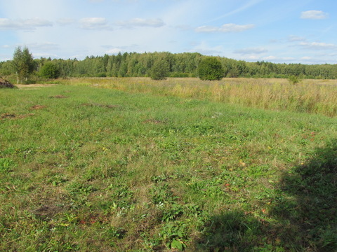 Продается земельный участок сельхозназначения вблизи д. Паткино Озерск, 4000000 руб.