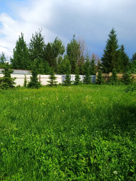 Продажа участка, Николо-Урюпино, Красногорский район, 45100000 руб.