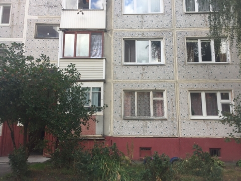 2х комнатная квартира Ямкино с, Центральная усадьба ул, 9 2х комнатная квартира Ямкино с, Центральная усадьба ул, 9