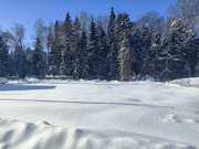 12 соток в Шапкино, СНТ Звездочка, 1600000 руб.