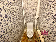 Москва, 3-х комнатная квартира, 1-й Краснокурсантский проезд д.3/5к11, 20600000 руб.