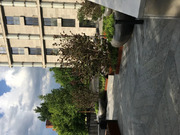 Москва, 3-х комнатная квартира, Кутузовский пр-кт. д.12, 53990000 руб.