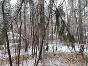 Продажа участка 17 сот. п. Кратово, ул. Кооперативная, 15300000 руб.