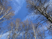 Дом в деревне Ащерино, 2450000 руб.