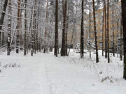 Ивантеевка, 1-но комнатная квартира, Санаторный проезд д.2, 2990400 руб.