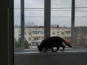 Пансионат Клязьминское Водохранилище, 2-х комнатная квартира, Сорокинское ш. д.13а, 5250000 руб.