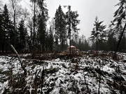 Земельный участок 15 соток в Московская обл., пос. Некрасовский, 8000000 руб.