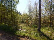 Шикарный участок 30 соток около леса д. Лобково, 2199000 руб.