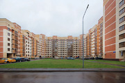 , 2-х комнатная квартира, семена гордого д.1, 55000 руб.