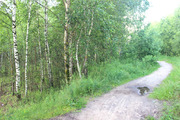Продаем участки СНТ Комета, 500000 руб.