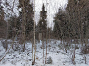 Продажа участка, НИИ Радио, Одинцовский район, Тыльная улица, 21200000 руб.