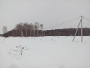 Участок 40 соток рядом озеро, лес в с. Ивановское, Ступинский район, 2800000 руб.