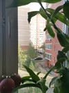 Щербинка, 3-х комнатная квартира, ул. Индустриальная д.12, 9500000 руб.