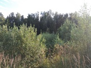 Земельный участок 10 соток в СНТ «Кантемировец» д. Головеньки, 1650000 руб.