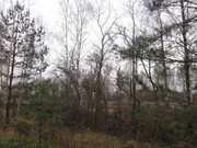Продается лесной участок на западной стороне г. Пушкино, рядом Водопро, 2550000 руб.