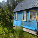 Красивый участок с выходом в лес, старый домик в подарок. 50 км., 500000 руб.