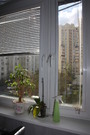 Москва, 1-но комнатная квартира, ул. Авиаконструктора Миля д.2к1, 6900000 руб.