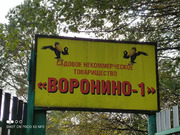 Продам земельный участок общей площадью 669 кв. м в СНТ Воронино-1, 350000 руб.