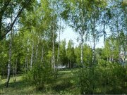 Участок 17,3 сотки Симферопольское шоссе, 37 км.от МКАД.коммуникации, 4152000 руб.