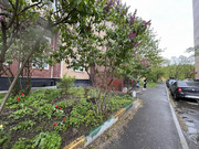 Москва, 1-но комнатная квартира, ул. Камчатская д.11, 40999 руб.