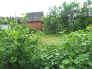 Продается земельный участок в СНТ Ветеран д.Александровка Озерского ра, 700000 руб.