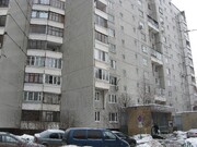 Москва, 1-но комнатная квартира, ул. Братиславская д.24, 6600000 руб.