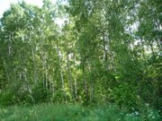 Продается земельный участок 8 сотокс с домом из бруса Ремзавод, 2500000 руб.