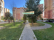 Домодедово, 2-х комнатная квартира, Лунная д.11, 11999000 руб.