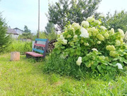 24,2 сотки ЛПХ в д. Редино, 8500000 руб.