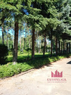 Продажа участка, Электрогорск, ул. Ленина, 37000000 руб.