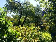 8 соток СНТ Щербинка завода сварз, 3000000 руб.