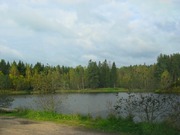 Дача в лесу, рядом с озером, 50 км от Москвы, дер. Алексеево, 650000 руб.