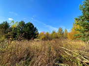 Дом в деревне Барсуки, 1900000 руб.