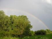 Срочно и очень дешево продаю участок на Можайском водохранилище 10 сот, 750000 руб.