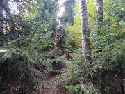 Продажа участка, Апрелевка, Наро-Фоминский район, ул. Волочаевская, 17600000 руб.