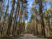 Дом в деревне Ащерино, 2450000 руб.