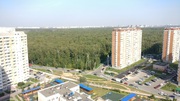 Московский, 3-х комнатная квартира, ул. Радужная д.13 к2, 16700000 руб.