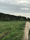 30 соток ЛПХ рядом с сосновым лесом, 1000000 руб.