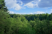 Лесной участок, ш. Горьковское, 50 км, Субботино д., 500000 руб.