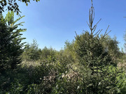 5,5 сотки ИЖС в КП Владычино, 3000000 руб.